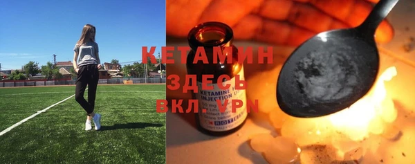 прущие грибы Балахна