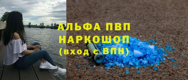 прущие грибы Балахна